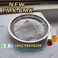 NEW PMK BMK CAS 5449-12