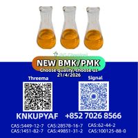 PMK CAS 28578-16-7 Processing