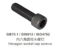 Hexagon Socket Cap Screw