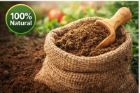 Cow Dung Powder, Cow Dung Manure