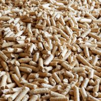 Wholesale Biomass Wood Pellets 6mm High