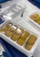 Sea Urchin Roe