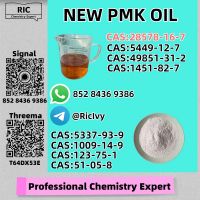Fast Delivery New PM.K B