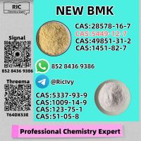 Original Factory 49851-31-2 BM