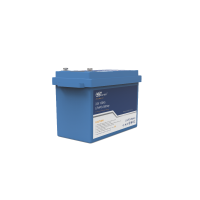 Lithium Iron Phosphate Battery - Maintenance-Free 24V 100A Eco-Friendly for Camping Use