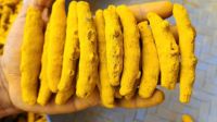 Turmeric FIngers