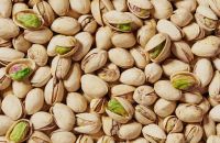 premium pistachio nuts