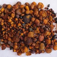 Quality Cow Gallstones / Ox Gallstones