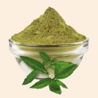 Brahmi Extract | Bacopa Monnieri | 20%â��55% Bacosides A+B | Nootropic | Brain Health