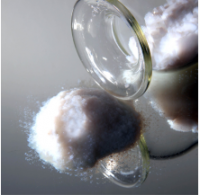 Hydrophilic Fumed Silica 200m&Acirc;&sup2