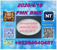 Fast Shipping Cas28578-16-7 PM