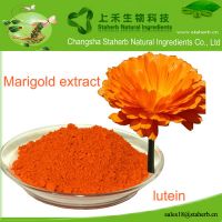 Factory supply Lutein,Marigold extract,colorant