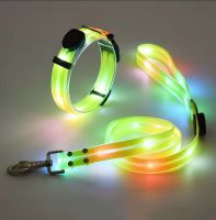 USB Rechargeable LED Dog Collar And