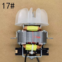 Hair Dryer Motor