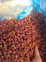 dry fruits red raisin Sultana Raisin Red Sultana
