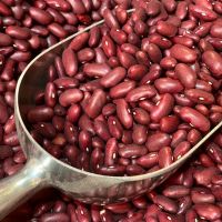 Premium quality export grade Red kidney beans.