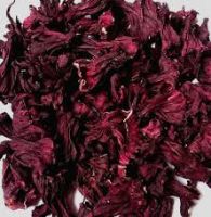 dried hibiscus flower