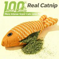 Catnip Fish Toy
