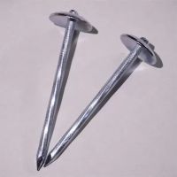 Galvanized Roofing Nail