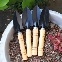 Mini Wooden Handle Garden Trowel Set