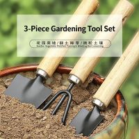 3 Pcs Wooden Handle Garden Hand Tool Set, Mini Gardening Shovel Rake Spade Kit