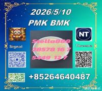 Precursors cas 28578-16-7 P-MK and cas 5449-12-7 B-MK