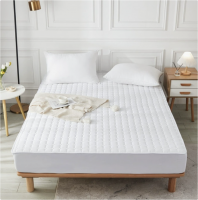 Hotel Mattress Protector, Comfortable Bed Pad for Hotel & Homestay, Bedding Protection Mat
