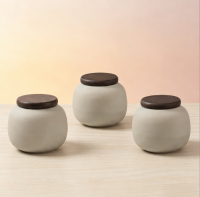 Matte Ceramic Pet Urn With Wooden