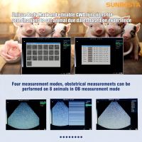 M10 Portable Handheld Ultrasound Instruments Small