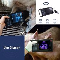 M10 Portable Handheld Ultrasound Instruments Small Vet/veterinary Ultrasound