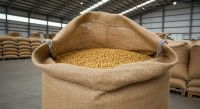YELLOW SOYBEANS