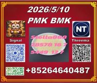 Good quality cas 28578-16-7 PM.K and cas 5449-12-7 BM.K /49851-31-2 