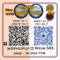 CAS 28578-16-7  PMK Immediate Shipment NEW Bulk Available 5449-12-7 BMK High Purity Trusted Supplier 