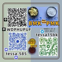 28578-16-7 PMK  Glycidate  AND
