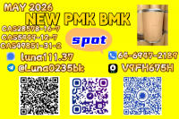 PMK Oil 28578-16-7 And