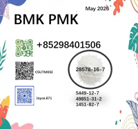 Hot Sale cas 28578-16-7 BK4 BVF 5449-12-7 BMK PMK honest supplier 
