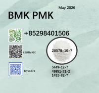 Best price cas 5449-12-7 and 28578-16-7 BMK PMK powder 1451-82-7, 49851-31-2