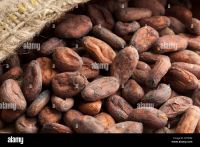 COCOA BEANS