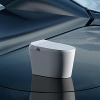 Multifunctional Intelligent Toiletï¼Œwater Temperature Adjustment