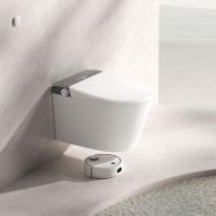 Hanging Intelligent Toilet Features Power-off