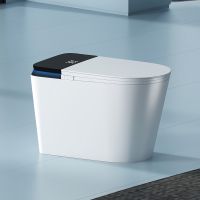 Antimicrobial Material, Multifunctional Intelligent Toilet, Leakage