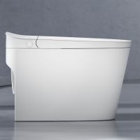 Multifunctional Intelligent Toilet With Warm Air