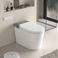 Multifunctional Intelligent Toiletï¼Œwater Temperature Adjustment