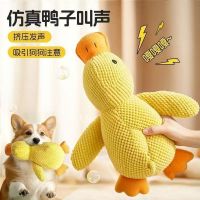 Durable Squeaky Plush Pet Toys for Dogs and Cats, Interactive Chew Toys