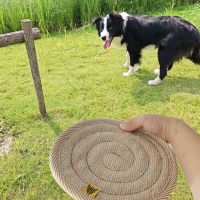 Soft Edge / Flexible Dog Frisbee
