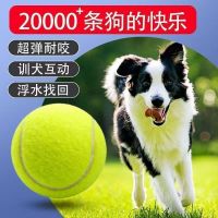 Dog Tennis Balls, Durable Chew Toys, Interactive Training Balls for Small Medium Large Dogs