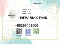 PMK CAS 28578-16-7 Cas