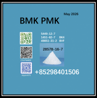 CAS 28578-16-7 BMK Powder