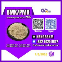 BMK/PMK CAS:28578-16-7//CAS:5449-12-- Extraction rate up to 70%