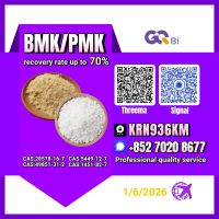 BMK/PMK CAS:28578-16-7